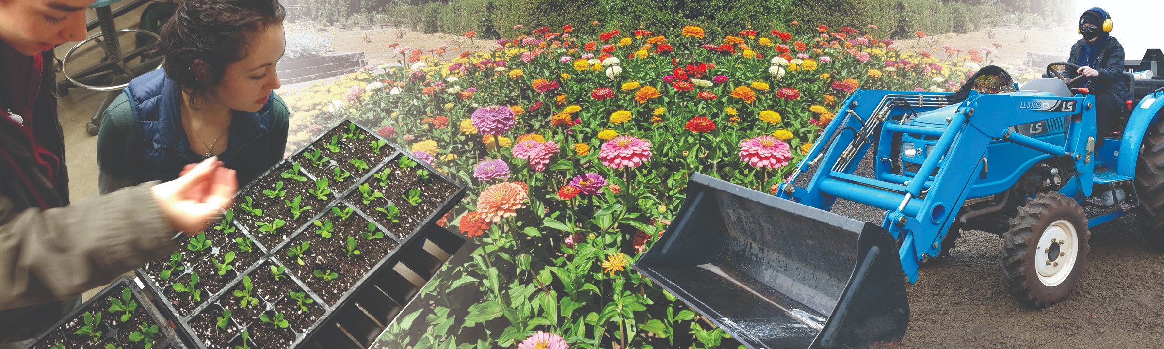 Horticulture Department