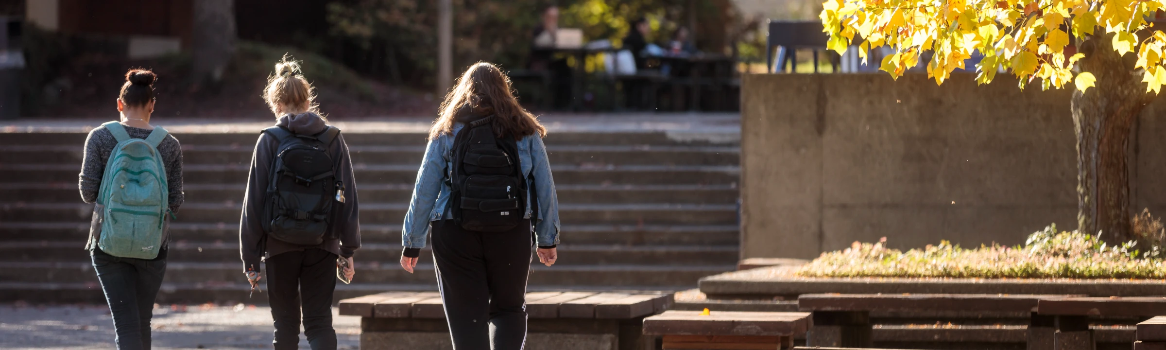 A group of three students walk through campus with fall foliage visible in the background