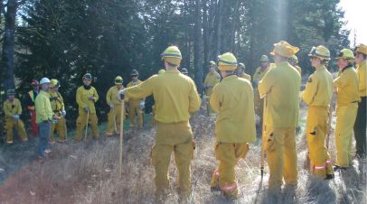 Firefighters stand in a circle at the forest edge making fire management plans.