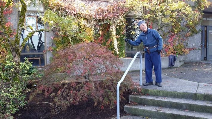 Person pruning a tree