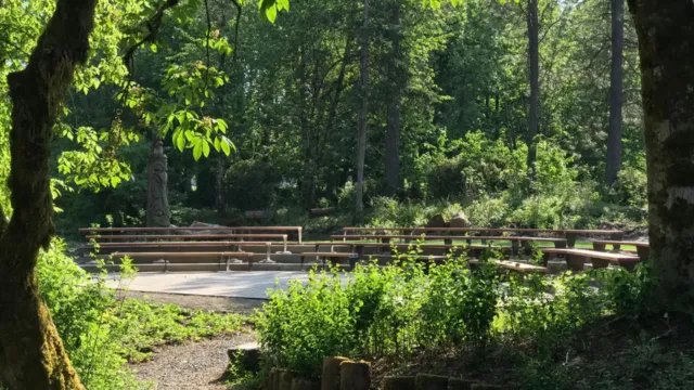A sunny outdoor amphitheater surrounded by lush green trees and foliage. Wooden benches encircle a concrete stage, creating a serene, peaceful atmosphere.
