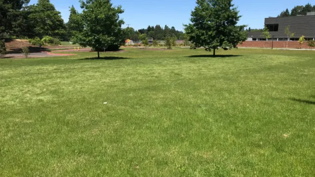 A lush green field with tall trees stands under a clear blue sky. A building is partially visible in the background, suggesting a serene park setting.